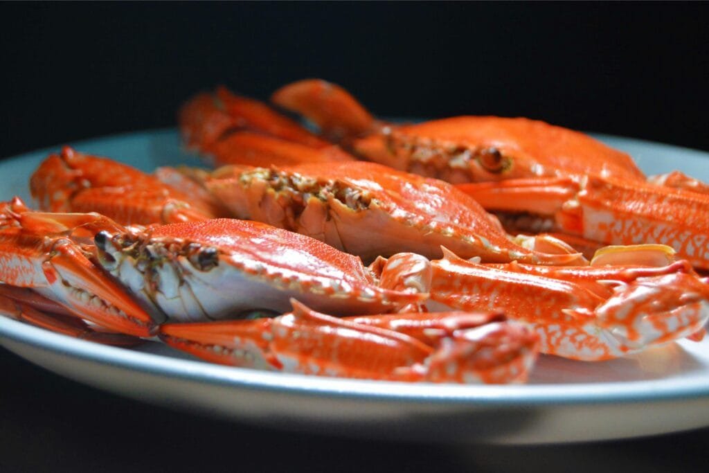 Shellfish rich in zinc for enhanced immune response