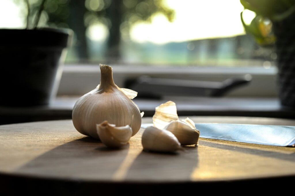 Garlic with immune-boosting properties