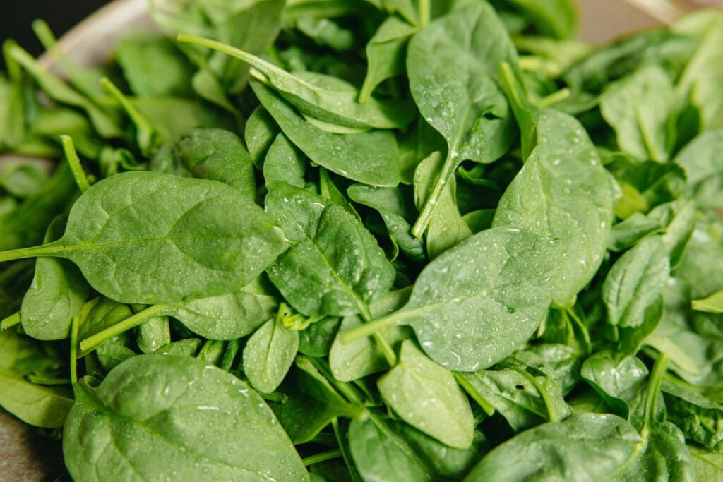 Spinach leaves packed with antioxidants